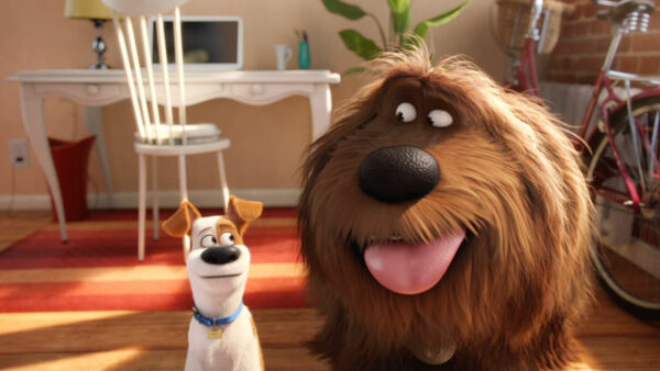 Campaign Featured Image for The Secret Life Of Pets